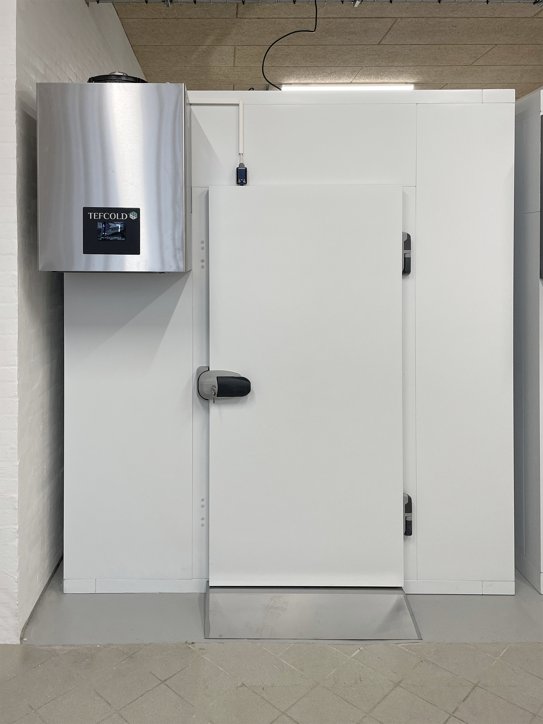 Chladící místnost, chlaďák TEFCOLD CR 300x300x220 WD (+sleva při koupi na IČO)